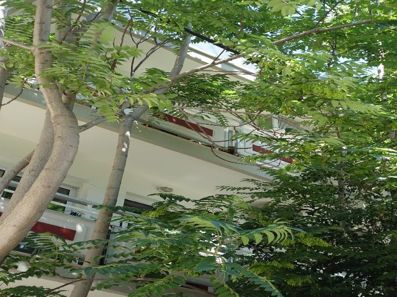 Bristol Apartments Città di Kos Esterno foto